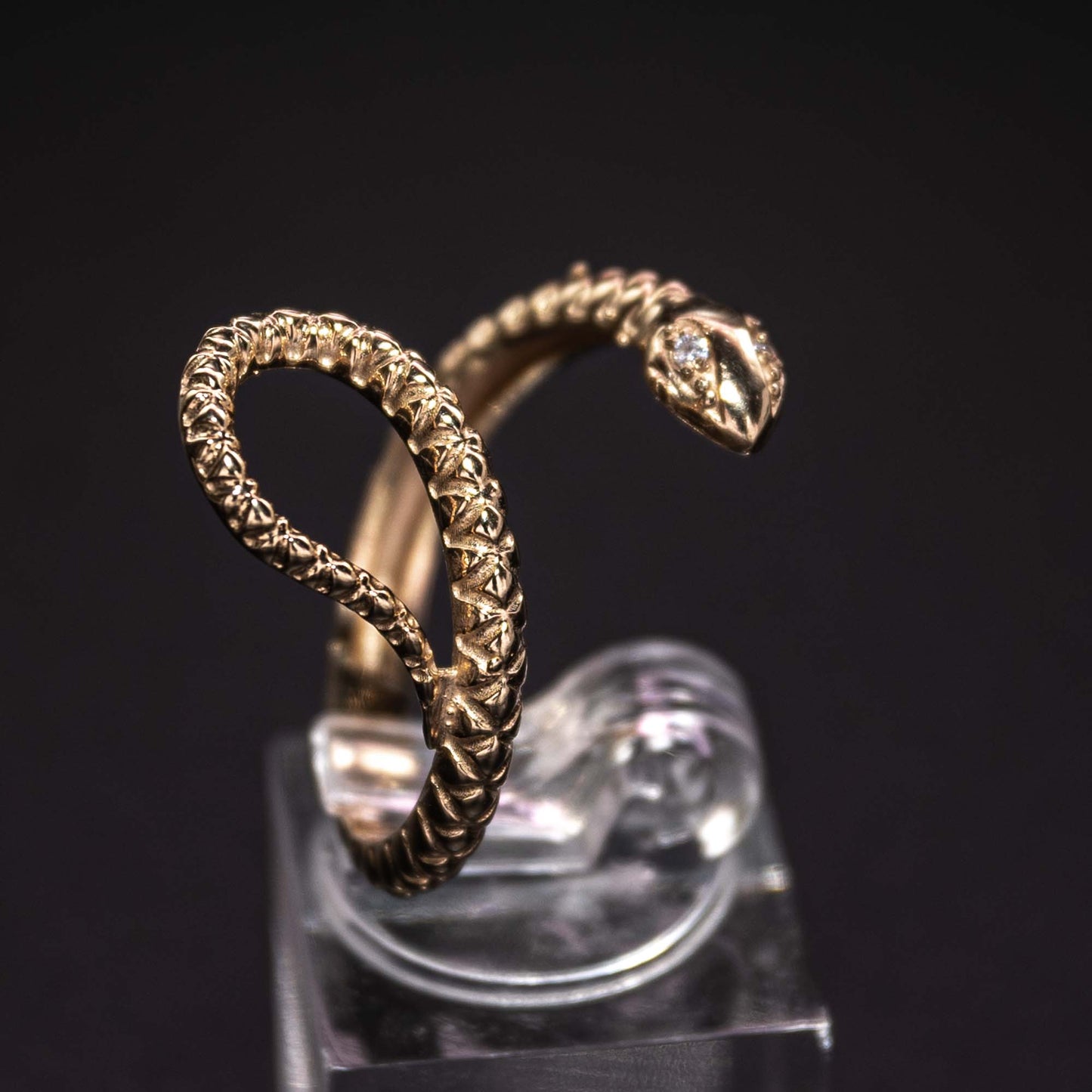 Egypt sense - 14k gold ring