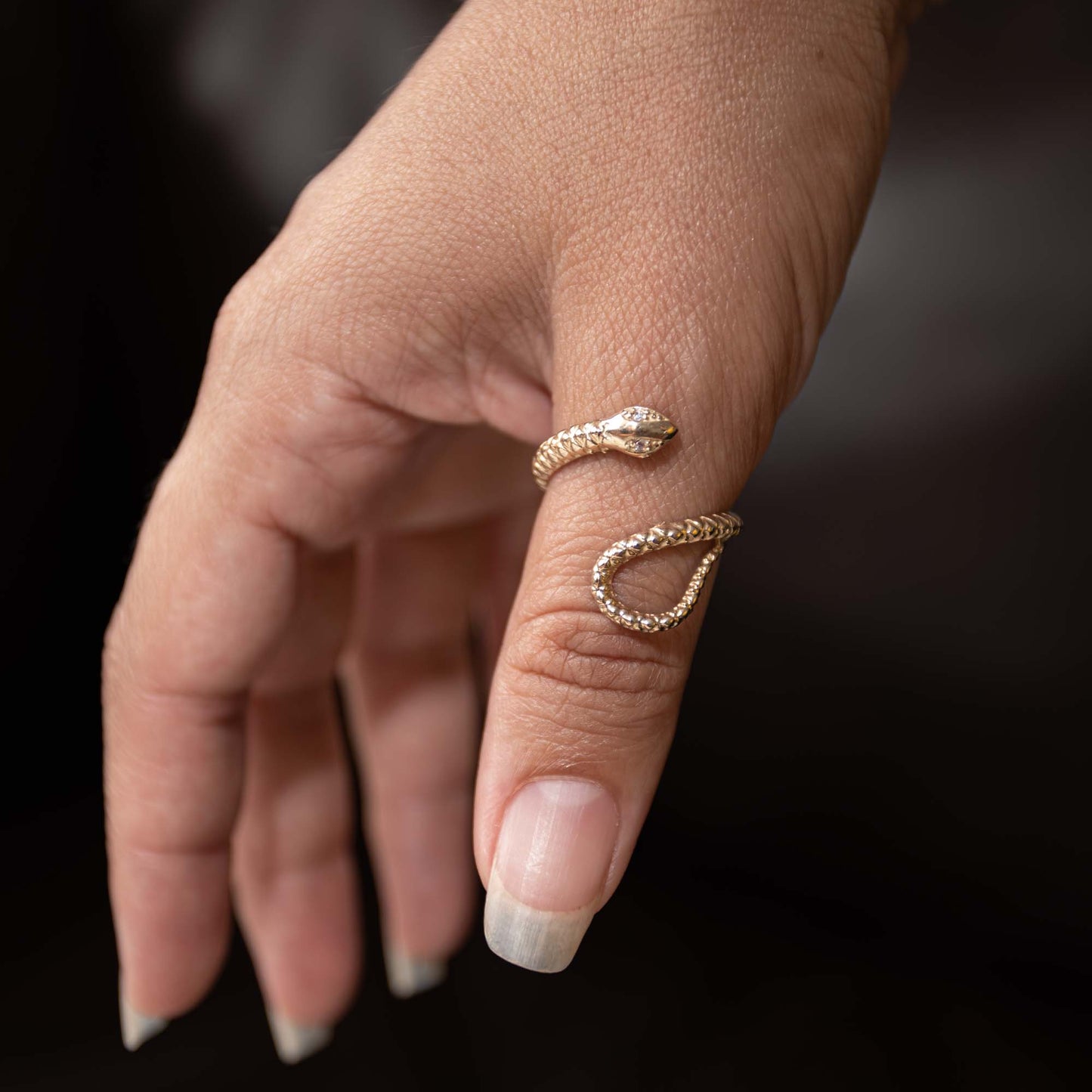 Egypt sense - 14k gold ring